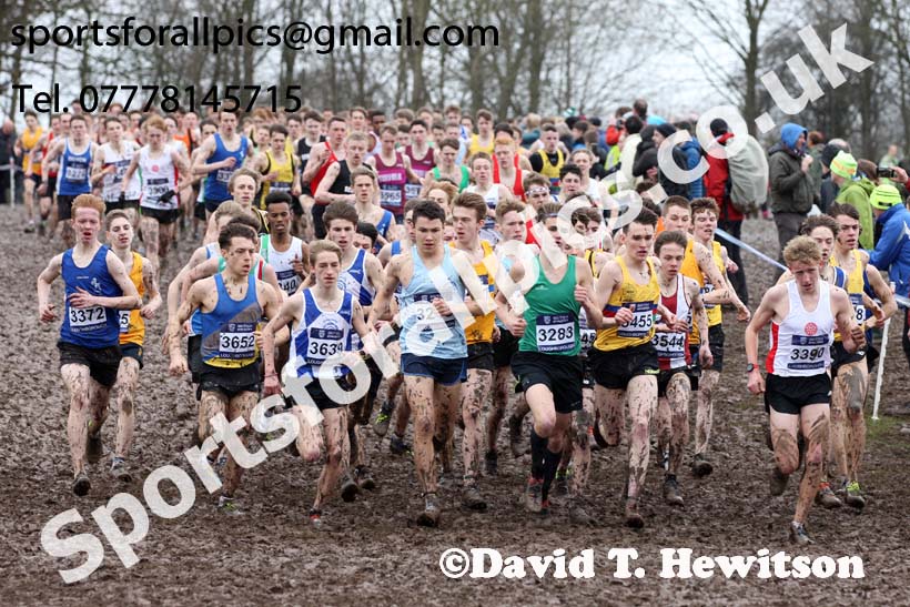 Mens under-17s 2018 British Inter Counties Cross Country Champs., Prestwold Hall, Loughborough. Photo: David T. Hewitson/Sports for All Pics